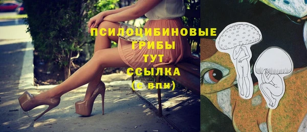 мяу мяу мука Карпинск