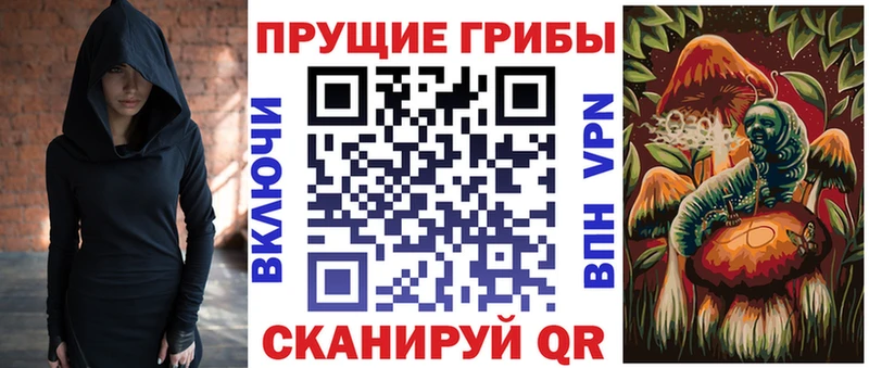 Купить где  Озёрск  Галлюциногенные грибы GOLDEN TEACHER 