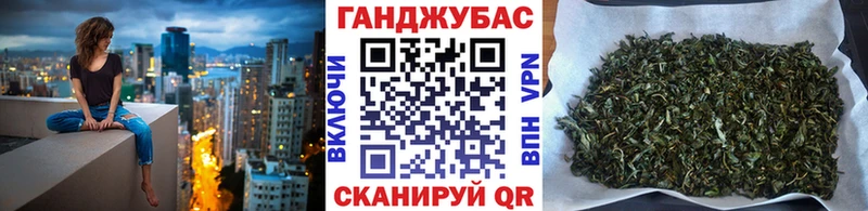 Каннабис сатива  Купить закладки  Озёрск 